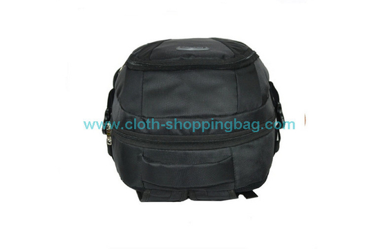 αδιάβροχη νάυλον τσάντα lap-top 14 ίντσας, ipad backpacks υπολογιστών για τις γυναίκες